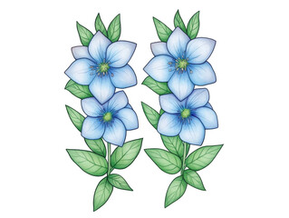 Watercolor Illustration Of Two Blooming Blue Flowers With Green Leaves And Transparent Background For Floral Design
