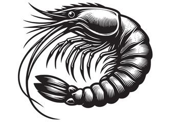silhouette of a shrimp fish logo vector, shrimp logo icon silhouette, shrimp fish silhouette vector, prawn silhouette vector, creative vector of shrimp seafood logo icon on white background