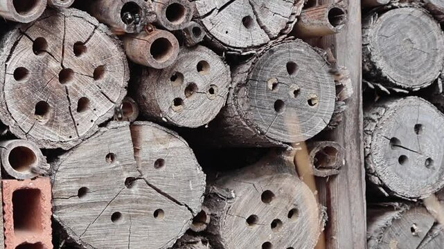 Gros plan sur un h&ocirc;tel &agrave; insectes en bois et briques, refuge pour la faune locale.