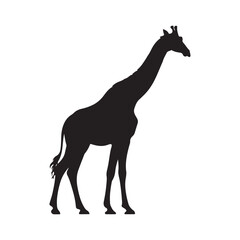 giraffe silhouette vector illustration
