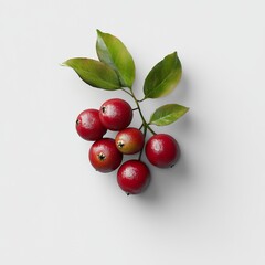 Obraz premium Generic Small Cluster Overview Placed Attached Leaves