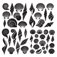  set vector various Seashell silhouettes
