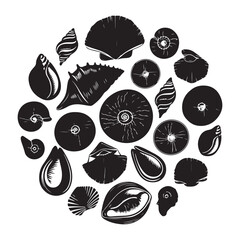  set vector various Seashell silhouettes