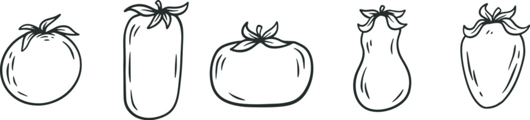 Cartoon tomato in hand draw outline style. Set of monochrome vegetables plants different shapes. Doodle vector illustration.