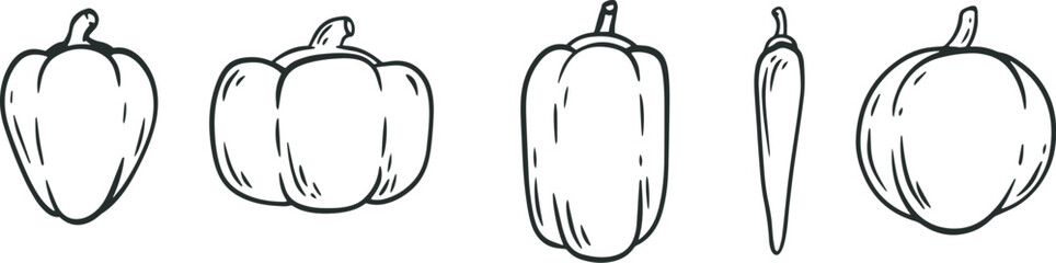 Cartoon pepper in hand draw outline style. Set of monochrome vegetables plants different shapes. Doodle vector illustration.