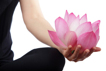 Hand Holding Pink Lotus Flower with Calm Background and Serenity