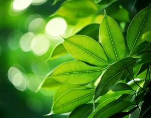 Obraz premium Vibrant Green Leaves with Soft Bokeh
