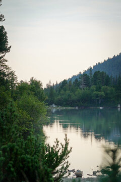 Side of Popradsk&eacute; lake with forest going to the water edge and the lake has a rarefaction of the trees and sky, High Tatra mountains, Slovakia