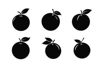 Orange – Citrus sinensis silhouette vector illustration