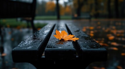 Lonely autumn leaf on a wet park bench (2)