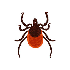 Vector Colorful Illustration of Mite Isolated on White Background