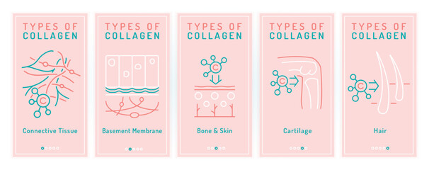 Collagen types banners. Collagens for bone, cartilage, hair.
