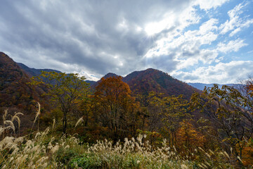 秋の里山風景