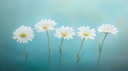 Beautiful arrangement of white daisies on a soft blue background, perfect for adding a touch of nature and freshness to various designs and projects