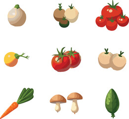 all kinds of vegetable vector