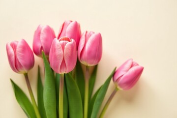 Fototapeta premium A delightful bouquet of pink tulips arranged artfully on a pale background, showcasing their delicate petals and vibrant color, perfect for celebrating spring or conveying sentiments of affection.