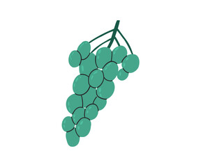 Hand-drawn vector illustration of a bunch of green grapes. Ideal for wine-related projects, food illustrations, and organic product branding.