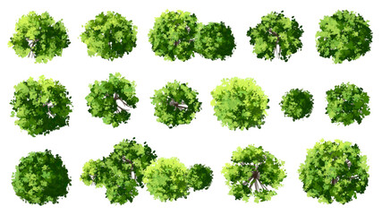 Vector set of Top view green tree for outdoor plan or map and architecture drawing, elements for environment and garden ,botanical elements ,blooming flowers in spring,tropical plants element