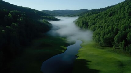 Misty valley river flows through lush green forests