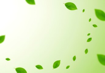 Flying green leaves frame on light green background with copy space. Ecology, World Environment day, Arbor day concept. Falling foliage for greeting card, banner, invitation and spring design. 