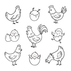set of cartoon hens, rooster and chick isolated on white background. Doodle illustration. Bird for Easter, decor, invitation, cards, food packaging cover design, advertising banner, postcard. Vector 