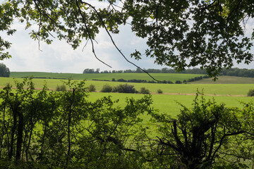 Nébing-198-bewerkt.psd