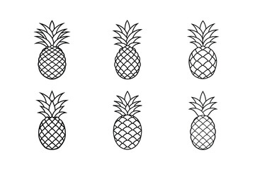 Obraz premium Pineapple – Ananas comosus line art vector illustration