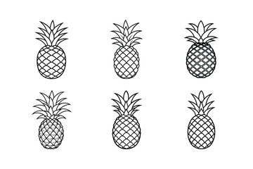 Obraz premium Pineapple – Ananas comosus line art vector illustration