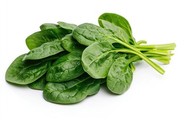 Fototapeta premium A bunch of dark green spinach leaves with vibrant stems, arranged on a white background.