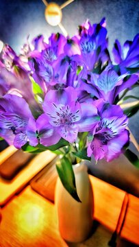 Beautiful Alstroemeria Flowers in a Vase
