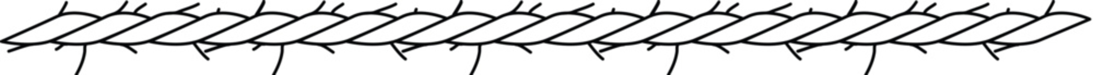 illustration,vector,design,accessory,accessory drawing,accessory tecnicals,accessory  lace