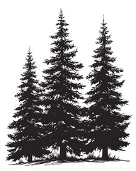 Fototapeta premium .Illustration of trees, leaves, grass and various botanical elements on a white background.