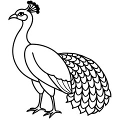 Fototapeta premium Majestic Peacock Illustration: This elegant illustration captures the iconic silhouette of a peacock, emphasizing its distinctive feathers, crest, and graceful posture.
