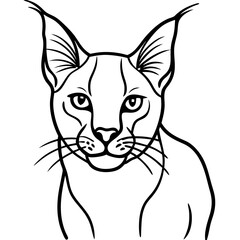 Obraz premium Line Art Portrait of a Caracal: A striking monochrome line art depiction of a caracal, the wild cat with distinctive ear tufts, capturing its piercing gaze and unique features in a minimalist style.