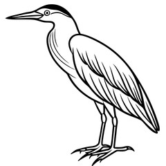 Fototapeta premium Majestic Heron Illustration: An elegant illustration of a heron, showcasing its slender form and long beak in intricate detail, perfect for educational or artistic uses.