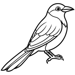Bird Line Art: Simple outline drawing of a bird, perfect for coloring or graphic design, set against a pure backdrop.