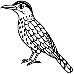 Bird Illustration: A meticulously crafted black and white line art illustration of a bird, showcasing intricate details of its feathers and form. 