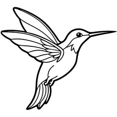 Obraz premium Hummingbird Illustration: A simple, elegant line drawing of a hummingbird, with outstretched wings in mid-flight, showcasing the bird's delicate form.