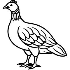Fototapeta premium Game Bird Silhouette: A clean and simple line art illustration of a game bird, perfect for coloring pages or design projects. 
