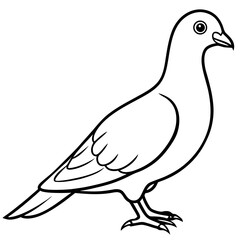 Pigeon Outline Illustration: A monochrome illustration of a pigeon, rendered in a simple, elegant outline style, capturing the essence of this common urban bird.