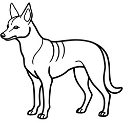 Obraz premium The Dingo Icon: A clean, graphic illustration of a dingo standing in profile, capturing the essence of this unique canine species.