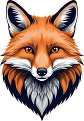 red fox vector illustration