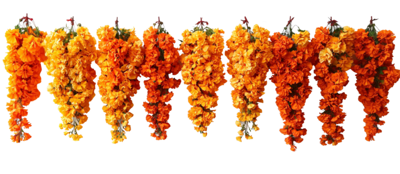 Floral Cascade: A vibrant display of orange marigold garlands, a symbol of festivity, creating a captivating row of bright blooms.