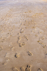 Footprints in the sand on the beach of the Dutch North Sea coast near Bergen aan Zee
