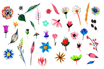 Colourful flower set. Hand drawn marker vector isolated sketch. Lavender, daisy, dandelion, chamomile.
