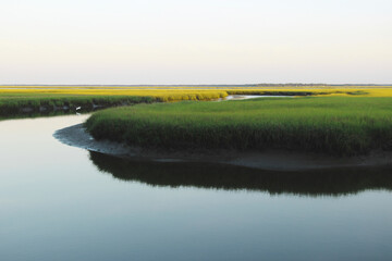 Small White Bird Flying Above Florida Marsh Swamp Water