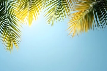 Tropical Palm Leaves against Blue Sky Background Summer Vacation