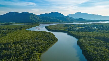 Obraz premium Expansive views of forests and mangroves with towering mountains in the background, featuring tranquil water and lush green, showing natural beauty and cultural heritage.
