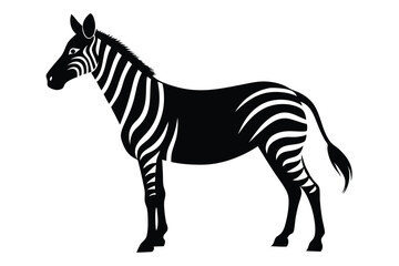 Zebra silhouette vectot art illustration