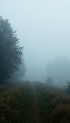 Foggy morning with grey clouds in the distance, grey, landscape
